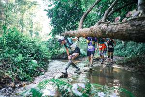 BIB: 
                            <button type="button" onclick="openModal(25436870)" class="btn btn-primary btn-sm float-right btn-popup" data-toggle="modal" data-target=".modal-high-quality">
                        <i class="fas fa-shopping-cart"></i> Add to Cart
                    </button>
                                            <button type="button" onclick="isThisMe(25436870, true)" class="btn btn-success btn-sm float-right btn-popup btn-isme hidden" data-toggle="tooltip" data-placement="bottom" title="นี่คือรูปของคุณใช่ไหม คลิกที่นี่เพื่อเอาเข้าอัลบั้ม">
                        <i class="fas fa-plus"></i> Add to album
                    </button>
                    <button type="button" onclick="isThisMe(25436870, false)" class="btn btn-warning btn-sm float-right btn-popup btn-isnotme hidden">
                        <i class="fas fa-ban"></i> Remove from album
                    </button>